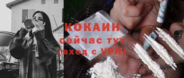 твердый Балахна
