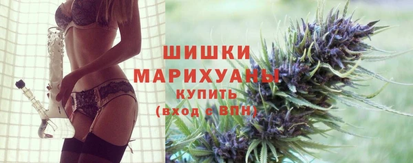 ПСИЛОЦИБИНОВЫЕ ГРИБЫ Баксан