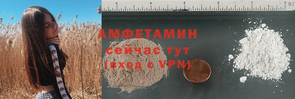 индика Пересвет