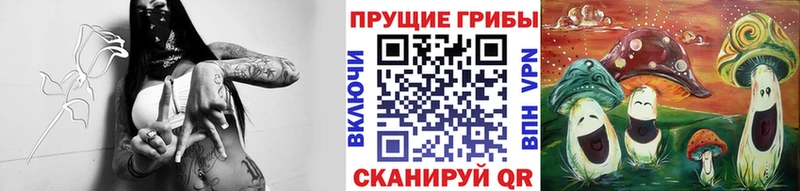 даркнет сайт  Красково  Галлюциногенные грибы Psilocybine cubensis 